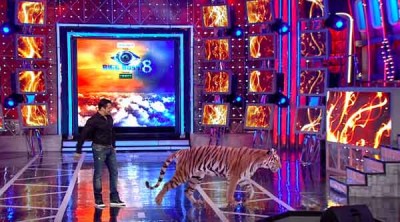 Bigg Boss:Sushant Divgikar eliminated