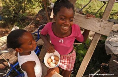 UN agriculture chief lauds 'key' role of family farmers in food secure future