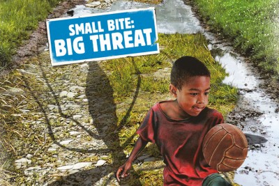 UN urges countries to combat vector-borne diseases