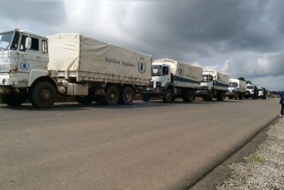 UN chief stresses need for urgent global action as Ebola continues deadly rampage