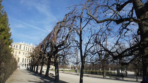 Vienna architectural marvel 