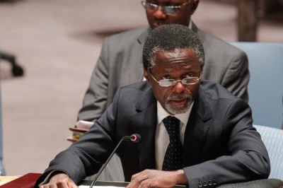 Ban appoints UN official as acting head of mission in Central Africa