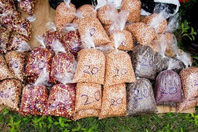 Ebola: World Bank will provide seeds to farmers in West Africa to ward off hunger