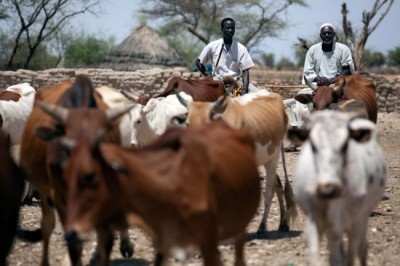 Deadly tribal clashes in South Darfur draw concern of UN-African Union mission