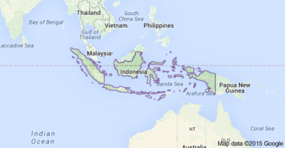 Indonesian plane carrying 54 passengers missing over Papua region