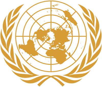 India welcomes UNGA decision on Security Council reform