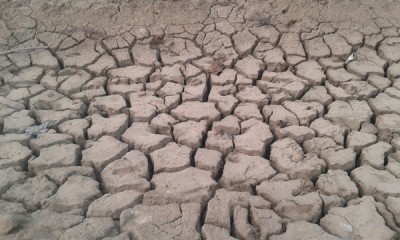 It's not just an unusually hot summer, it is climate change: Vardhan