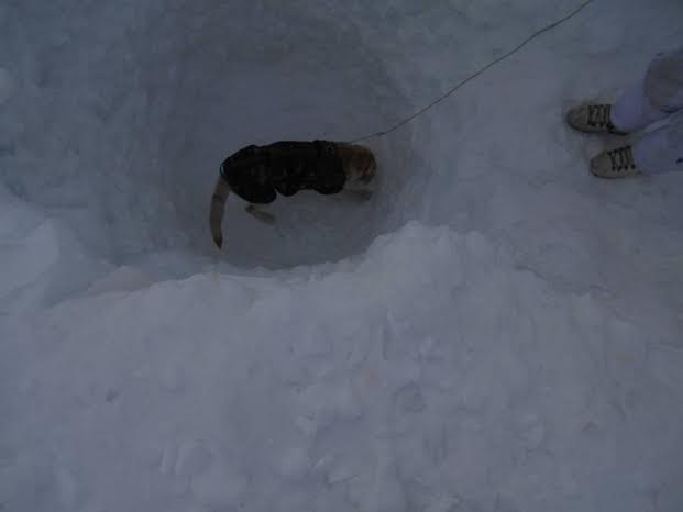 Rescue operations continue to find mortal remains of soldiers 