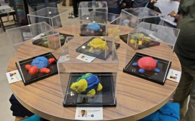 Turtle celebrates 'World Turtle Day', honours visually impaired in Kolkata