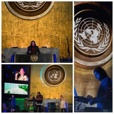 Ricky Kej  performs at the UN General Assembly