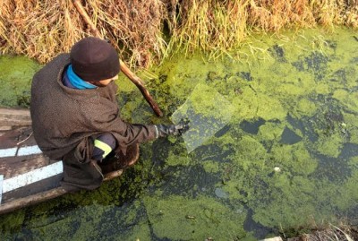 Srinagar experiences coldest day as mercury drops to minus 6.5 beginning 40-day period of harshest weather