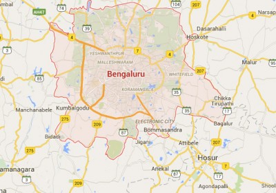 Bengaluru woman kills eight puppies 