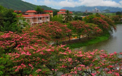 IITG-TIC organises innovation competition