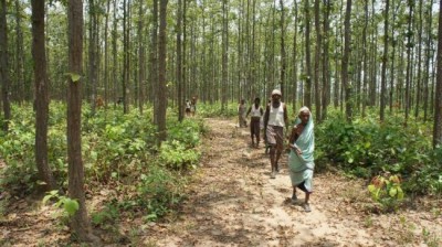 Thomson Reuters Foundation launches Place to put land and property rights on global news agenda