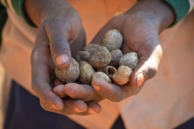 Zimbabwe facing worst malnutrition rates in 15 years â€“ UNICEF