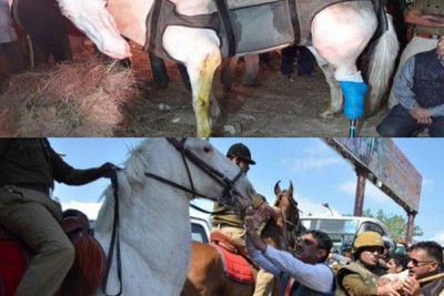 BJP lawmaker Ganesh Joshi accused of attacking Shaktiman arrested