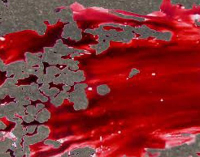 China: Bus fire kills 30