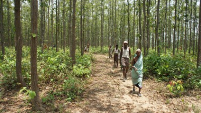 Amendments in the Compensatory Afforestation Fund Bill 2015