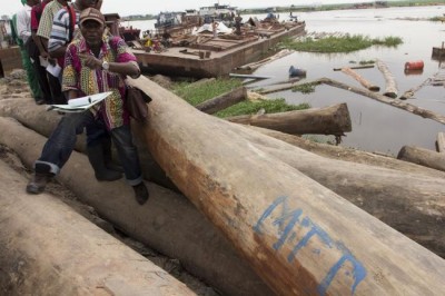  On International Day, UN cites 'duty of care towards the environment' in peacetime and during conflict