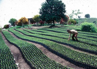 UN agriculture agency to support land reforms at core of Colombiaâ€™s new peace deal
