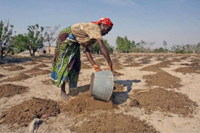 With planting season weeks away, millions in drought-hit southern Africa need support â€“ UN