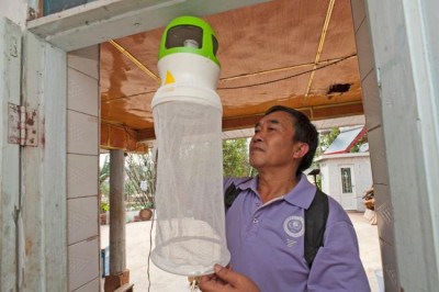 UN launching yellow fever vaccination campaigns on Angola-DRC border