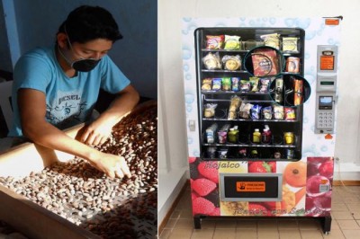 Colombia: UN office expands alternative development strategy to eliminate illicit crops   