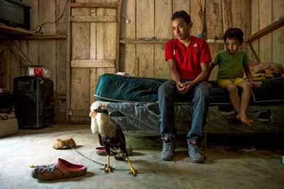 To escape gangs and poverty, Central American children making risky journey to US â€“ UNICEF