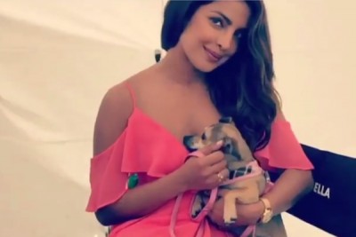 Priyanka Chopra turns 35, Bollywood actors wish