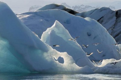 FEATURE: Climate change and the worldâ€™s oceans  