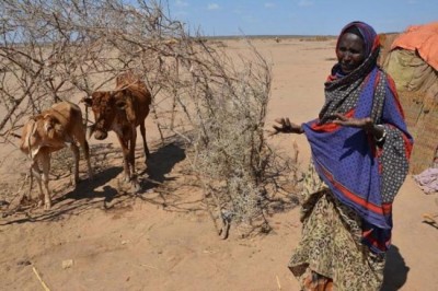 Drought drives food price spike in East Africa, UN warns