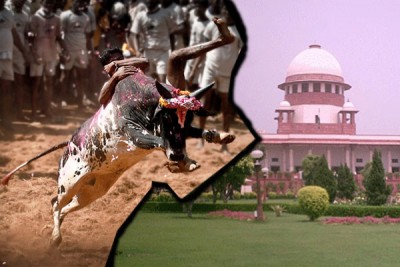 Jallikattu row: TN people urge SC to pass verdict on ban after 'proper analysis'