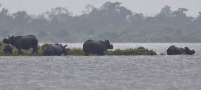 Relief from flood: Centre to construct 30 km long embankment cum road in Kaziranga