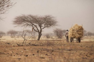 Security Council considers measures to support regional force in the Sahel