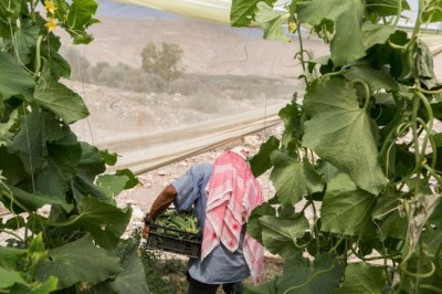 UN agriculture agency and World Bank reinforce partnership to end hunger and poverty