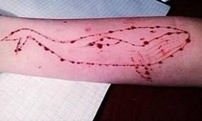 Second highest search about Blue Whale reported from Assam in past week : Google trends  