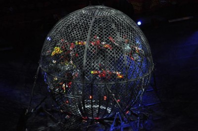 Americaâ€™s largest animal circus closes after 146 years, ADI calls on all circuses to end wild animal acts