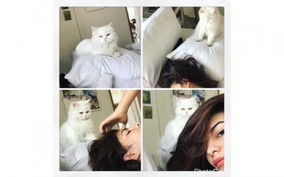 Jacqueline Fernandez enjoys photo session with her cat