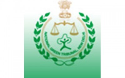 NGT okays Odd-Even scheme in Delhi to fight pollution, allows no exemption