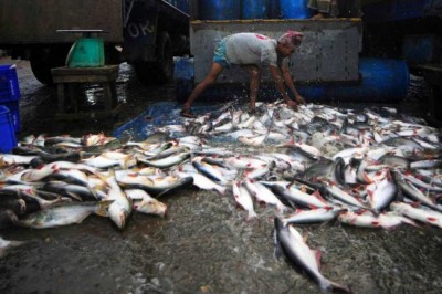 Next month's ocean conference eyes cutting $35 billion in fisheries subsidies â€“ UN trade officials