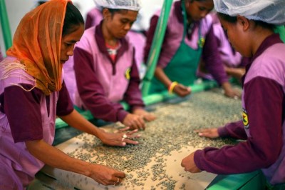 On International Day, UN promotes cooperative solutions for social inclusion