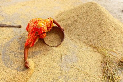 Monthly global food price index up 1.4 per cent; cereal stocks set to hit new record, says UN agency