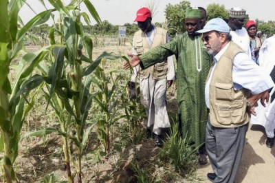 Lake Chad Basin crisis is both humanitarian and ecological â€“ UN agriculture agency