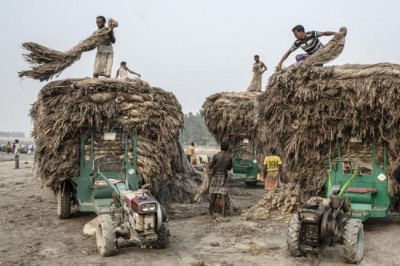 Conflicts, drought drive hunger despite strong global food supply â€“ UN agriculture agency