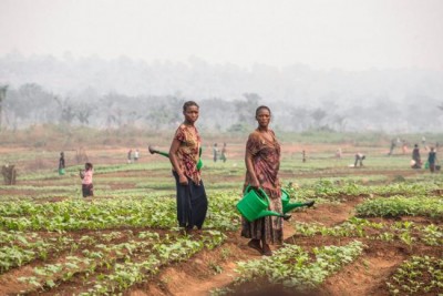 Thousands in DR Congoâ€™s Kasais to benefit from UN food, nutrition efforts, but challenges remain