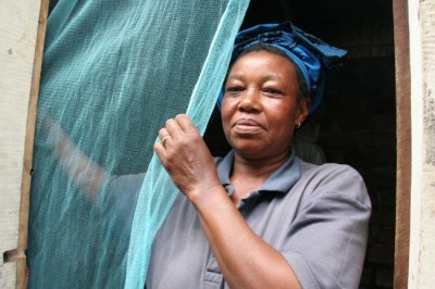  UN-backed network brings together thousands to help tackle mosquito-borne diseases