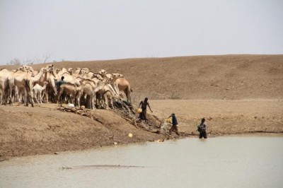 UN urges 'reboot' of drought responses to focus more on preparedness
