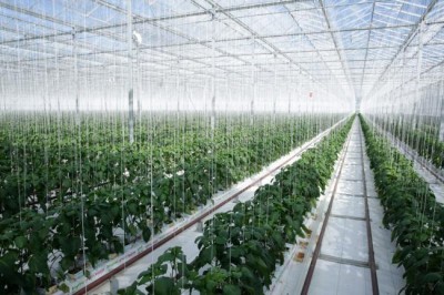 Smarter use of natural resources can inject $2 trillion into global economy by 2015 â€“ UN