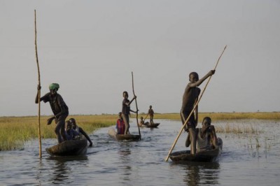 Hunger persists in chronic conflict zones despite strong global harvests â€“ UN