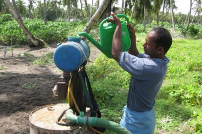 UN human rights experts call for global treaty to regulate dangerous pesticides